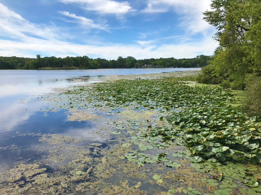 11. Spring Lake Palmyra