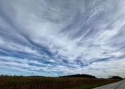 12. Painted Clouds