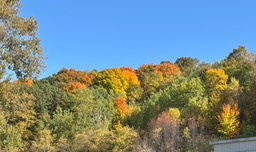 12. Slinger Colors