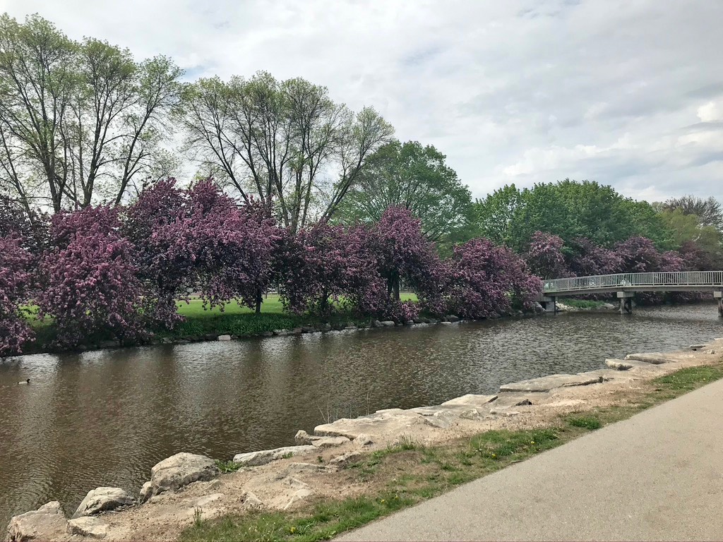 15. Lakeside Crab Trees