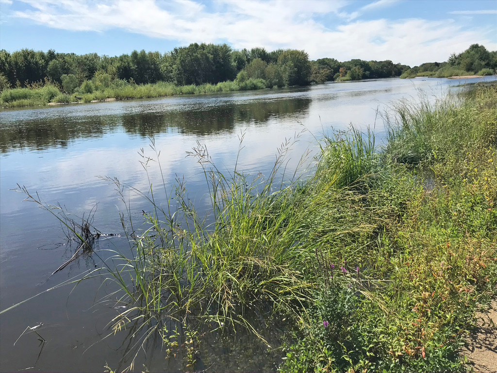 15. WI River Portage