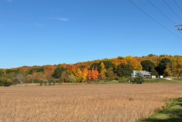 18. Near Kewaskum