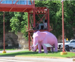 2.1.1 Pink Elephant