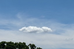 27. Bombers Zoomed In
