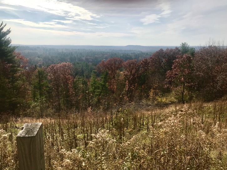 3. Mt Morris Park Overlook