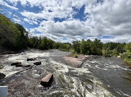 4. Falls