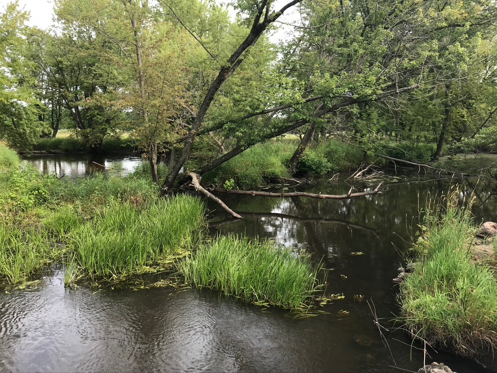 4. Mill Race River