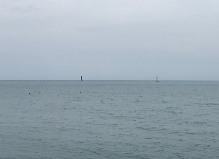 5. Sailboats