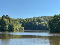 7. Mill Pond
