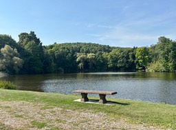 7. Mill Pond