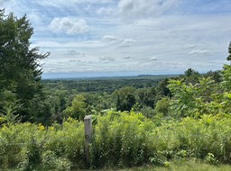 7. Mt Morris Overlook