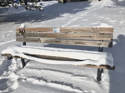 8. Dads Bench