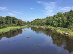 8. North View from Lily Bridge