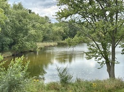 8. Spring Lake