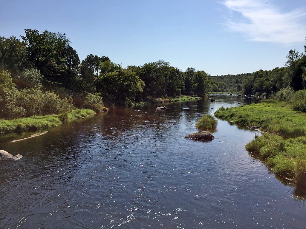 9. South View Wolf River in Lily