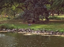 Blue Heron Lakeside Park