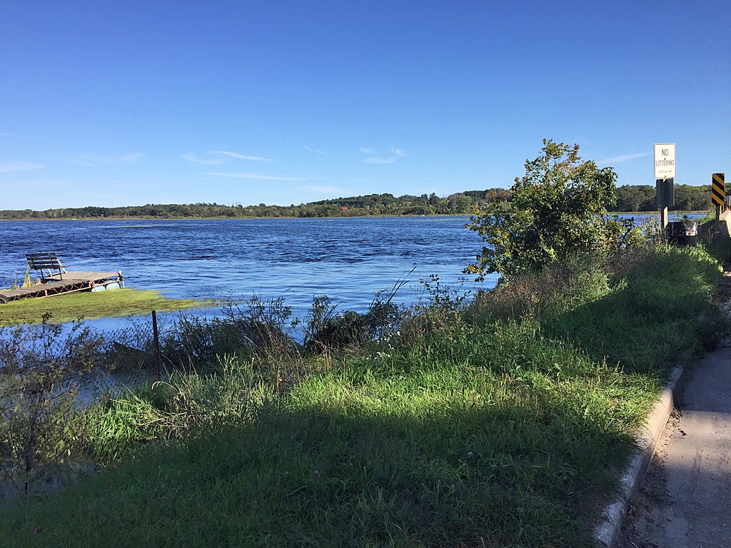 Buffalo Lake Swollen