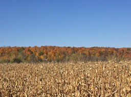 Colors Around Holy Hill