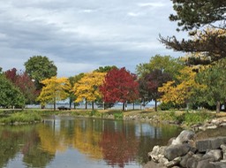 Colors at Lakeside Park