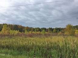 Colors in Calumet County