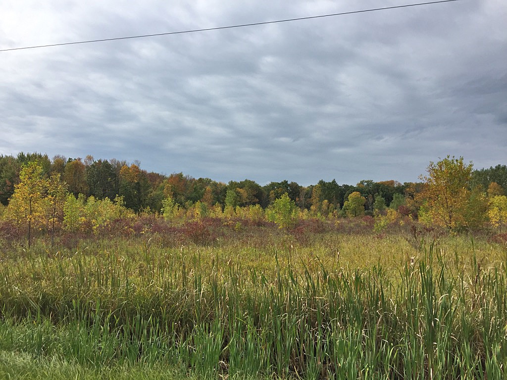 Colors in Calumet County