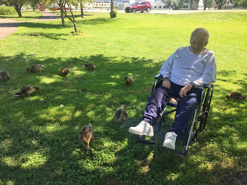 Dad and Ducks