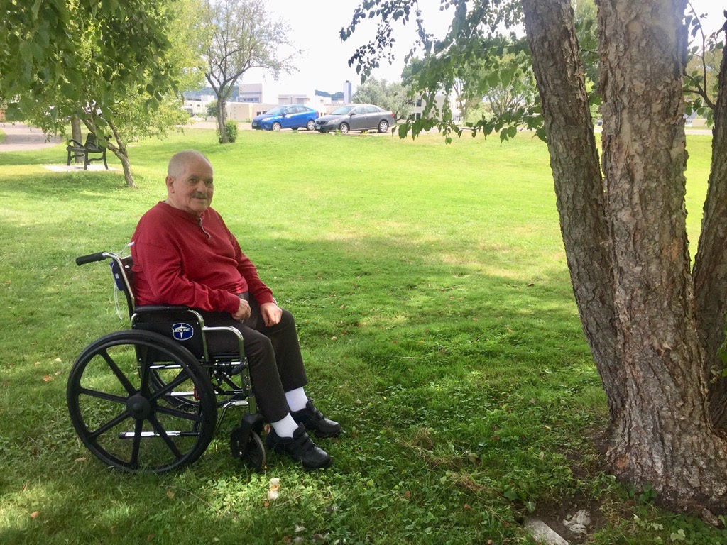 Dad Memorial Tree