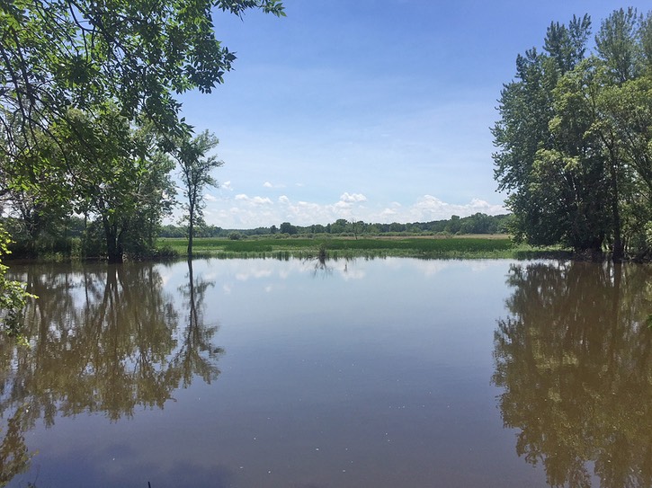 Fox River and Marsh