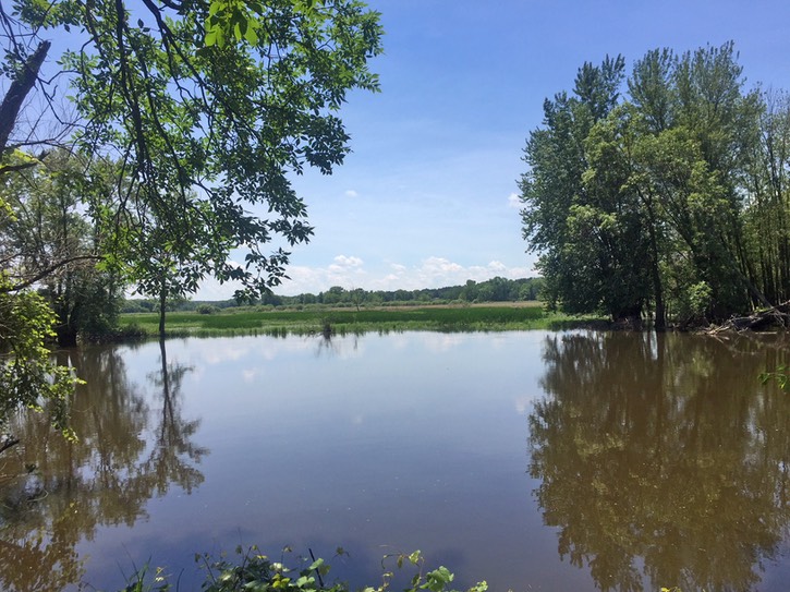 Fox River Princeton