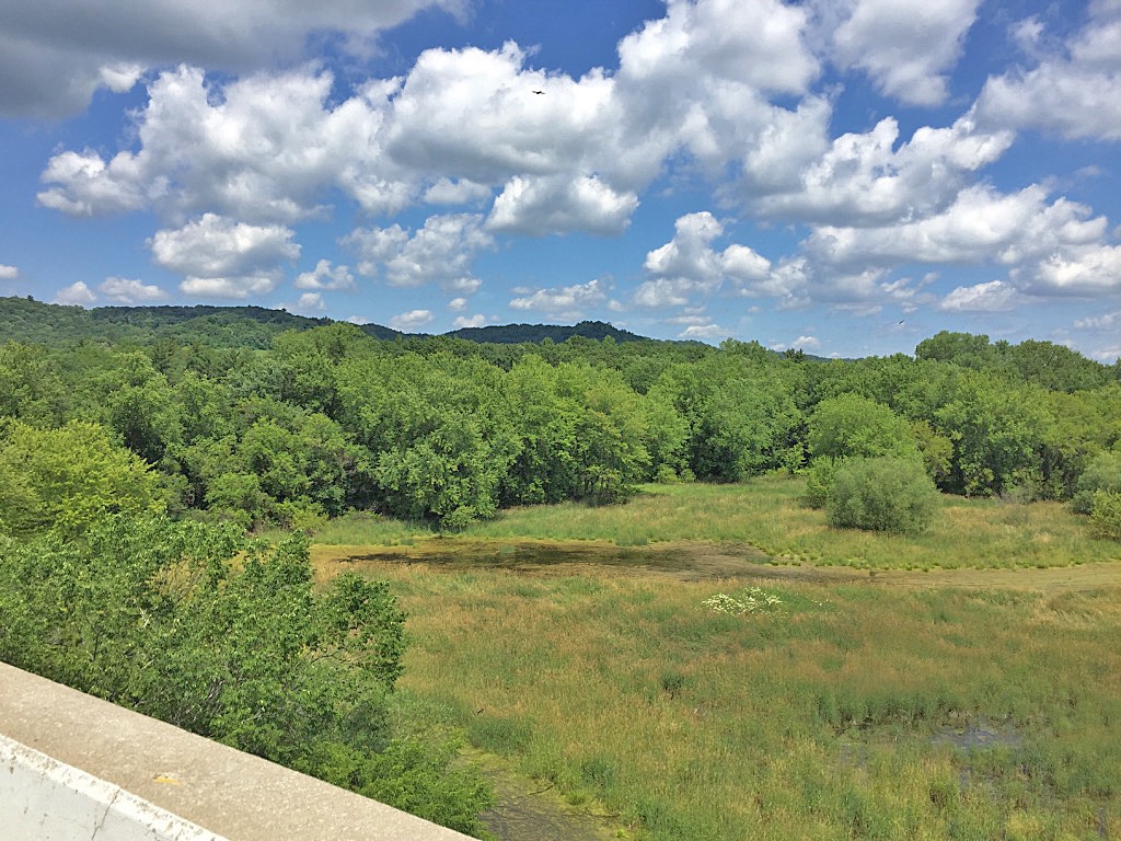 Kickapoo Backwaters near Rockton