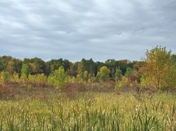 More Colors Calumet County