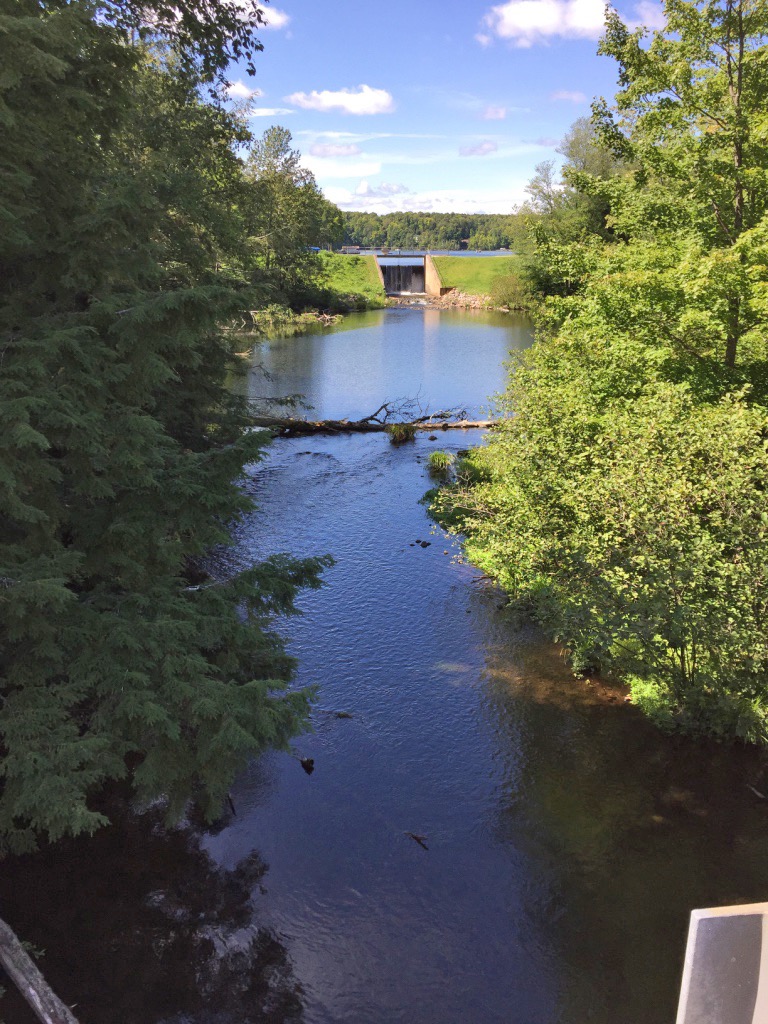 Mosquito Dam