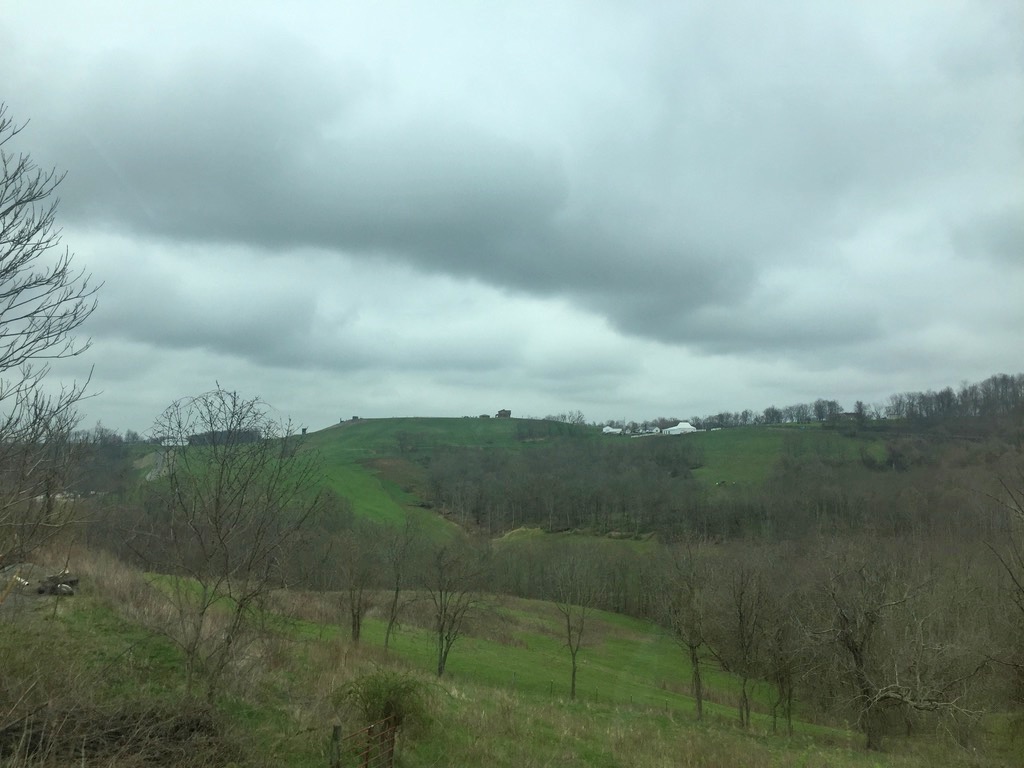 Rolling Hills I