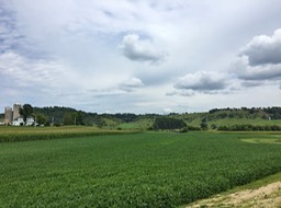 Rolling Hills Near Wilton