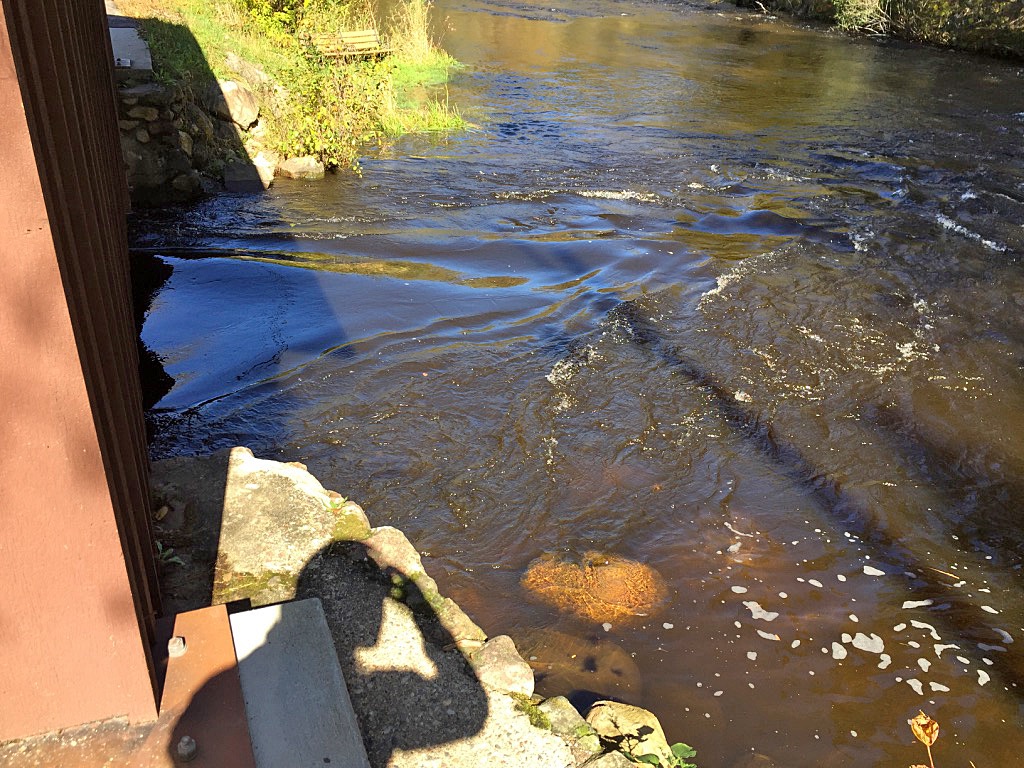 Rushing Water