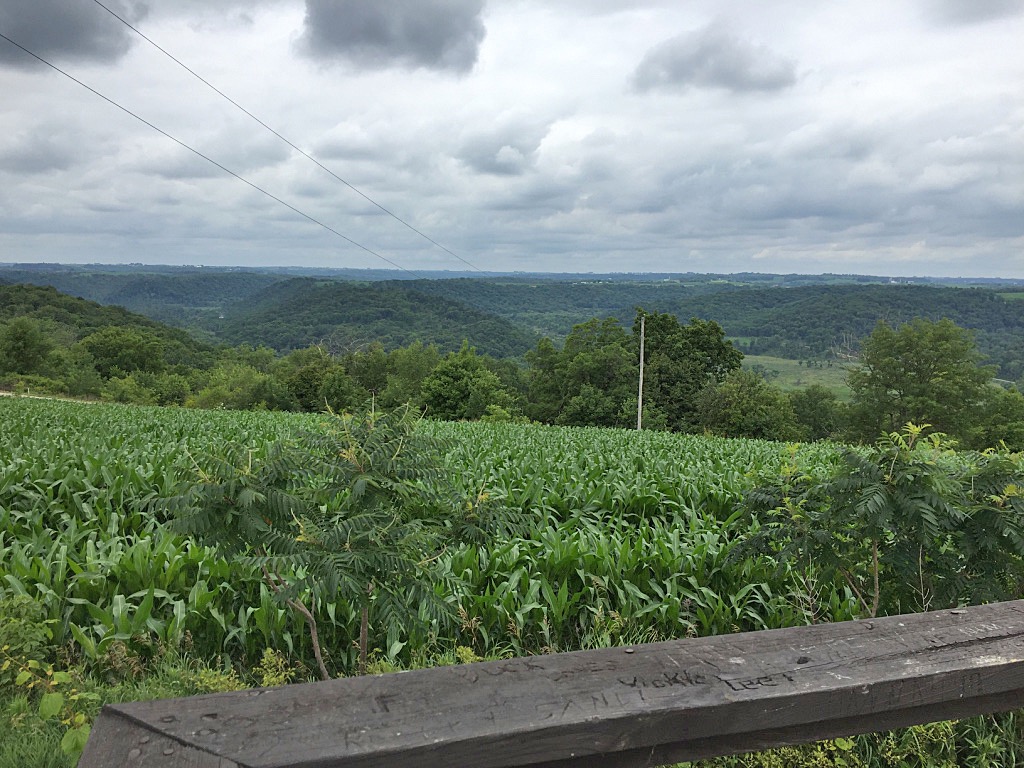 17. Scenic Overlook off of Hwy 131