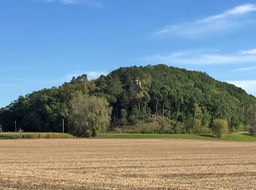 SE of Mauston