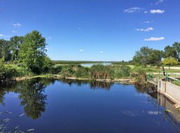 She Marsh Pre Dam