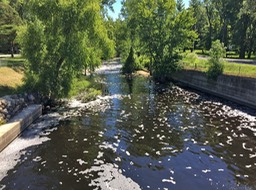 Sheboygan Marsh Dam