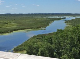 Sheboygan Marsh