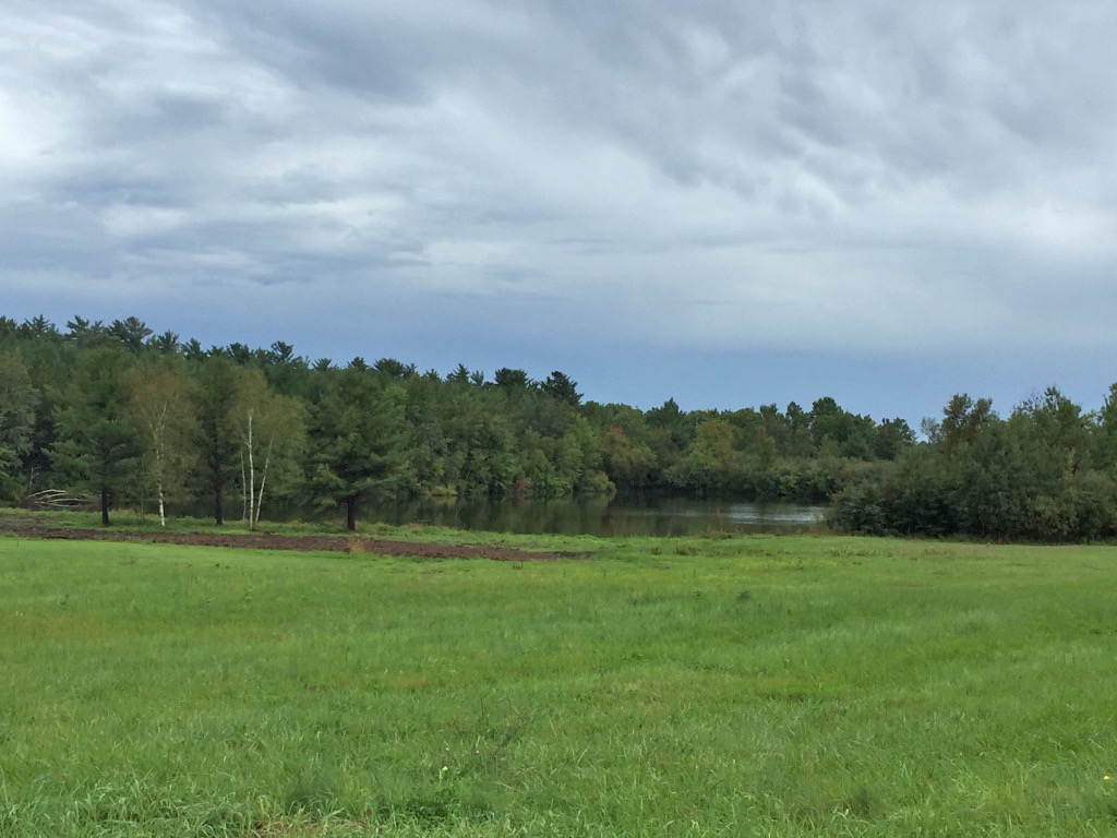 Swollen Pond