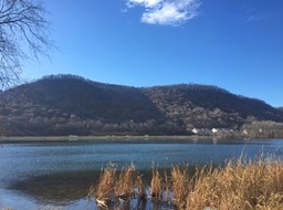 Thanksgiving Bluffs