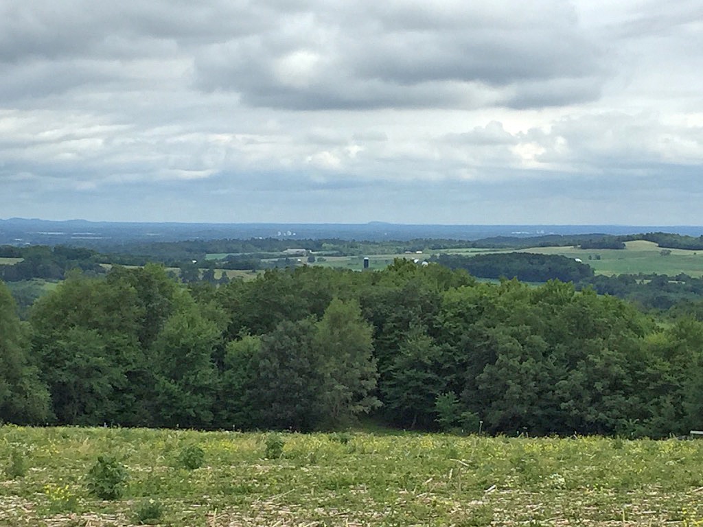 View NE Around Tomah Township