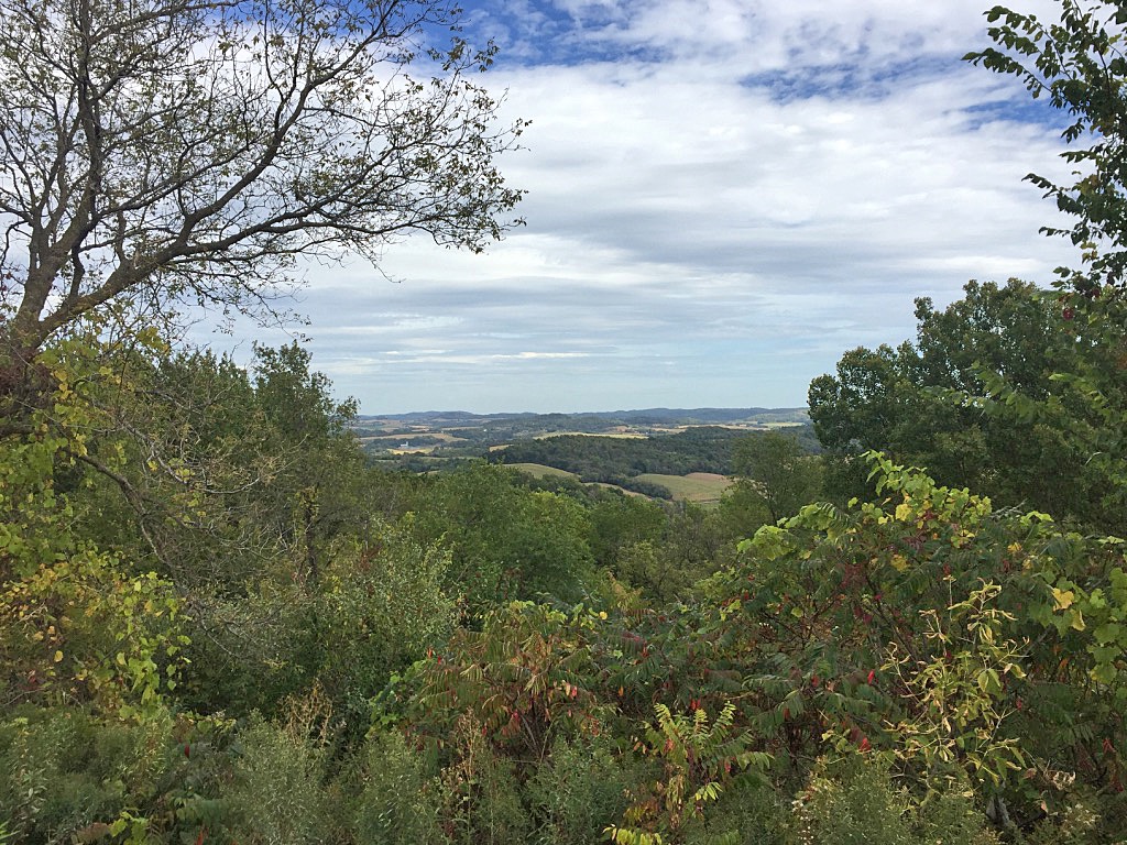 View NE Near Arcadia