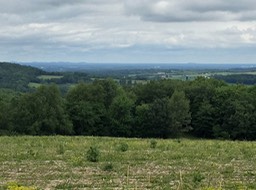 View North Around Tomah City