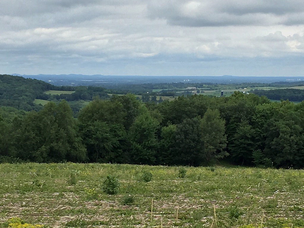 View North Around Tomah City