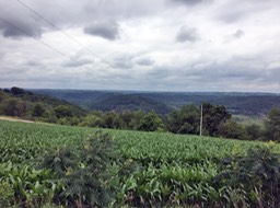 18. View North of Boscobel