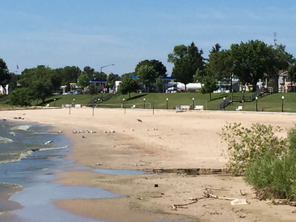 What's that on the beach?